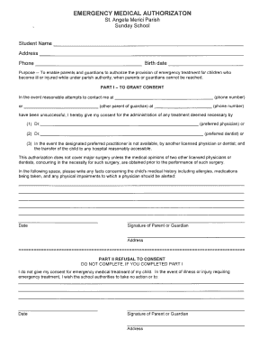 Emergency Medical Authorization Form