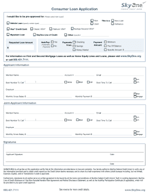 Consumer Loan Application