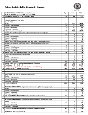 NAME OF ORGANIZATION Community Summary - sicsa