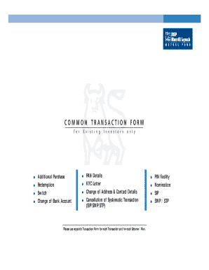 DSP Merrill Lynch Common Transaction Form