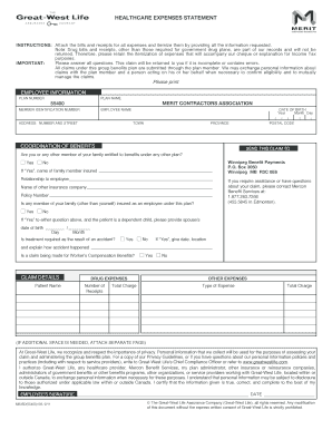 Healthcare Expense Statement