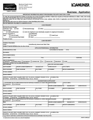 US Federal Loan Application Form