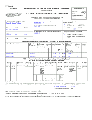 SEC Form 4 Statement of Changes in Beneficial Ownership