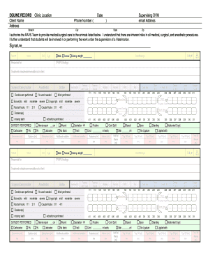 Equine Medical Authorization Form