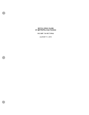 IRS Form 990 2009
