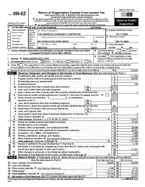 Form 990-EZ Tax Return