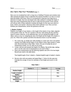 How Tall Is That Tree Worksheet
