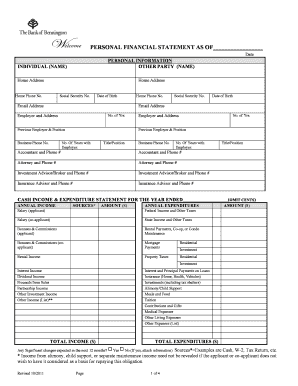 Personal Financial Statement Form