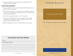 Celebrate Recovery Food Addiction Support Group Guidelines