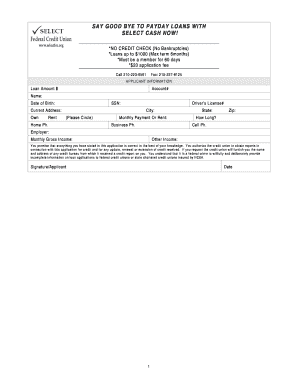Payday Loan Application Form