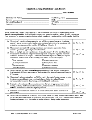 Specific Learning Disabilities Team Report