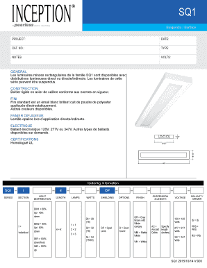 Formulaire de commande pour luminaire SQ1