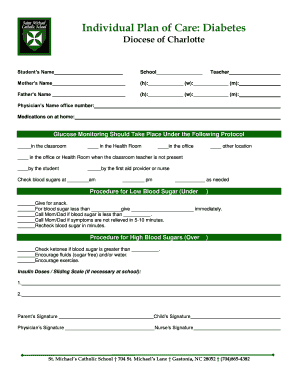 Diabetes Care Plan Form