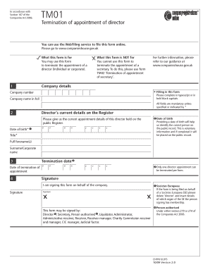 UK Director Termination Form TM01