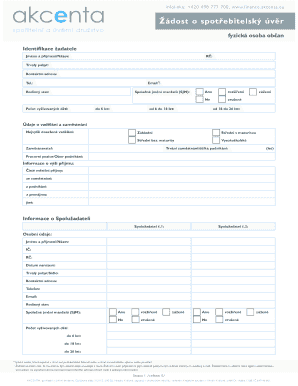 Consumer Loan Application Form