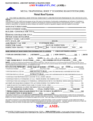 AMB Inspection Report Form
