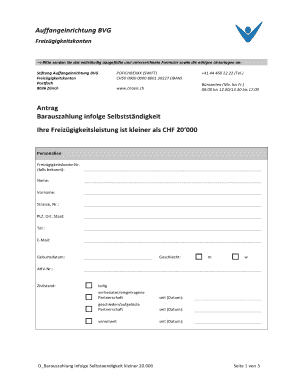 Auffangeinrichtung BVG