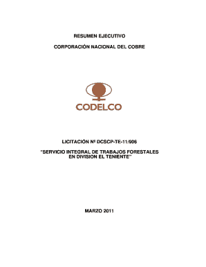 Resumen Ejecutivo Lic 11-906 final - stgo codelco