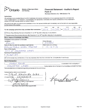 Ontario Municipal Election Financial Statement