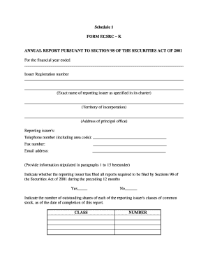 Annual Report Form ECSRC-K