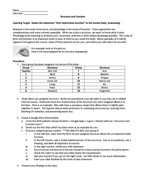 Structure and Function Assignment