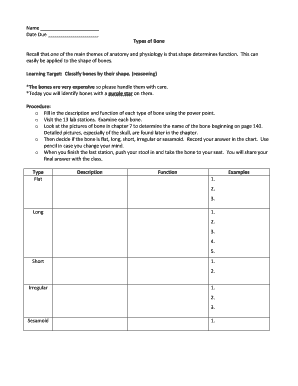 Bone Classification Lab Worksheet