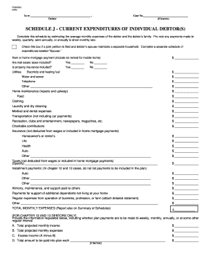 Schedule J - Current Expenditures of Individual Debtor