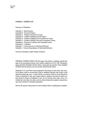 US Bankruptcy Court Form B6
