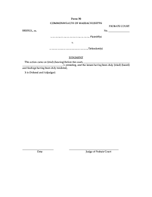 Massachusetts Probate Court Judgment Form