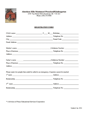 Form preview