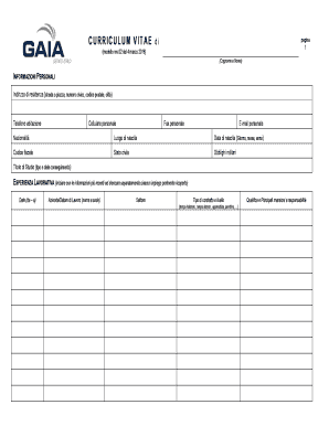 Curriculum Vitae