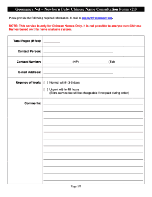 Newborn Baby Chinese Name Consultation Form