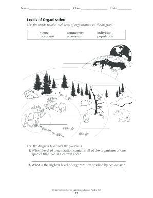 Levels of Organization Worksheet