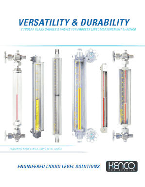 K9900 Series Liquid Level Gauge Order Form