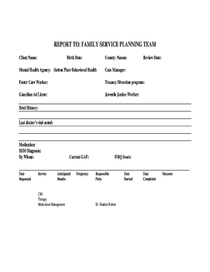 Child Welfare Service Plan Form