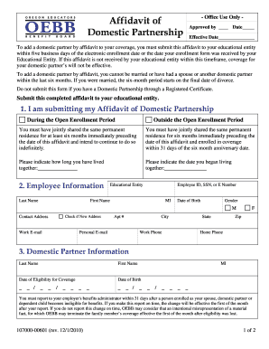 Affidavit of Domestic Partnership