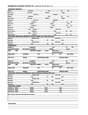 Defendant and Indemnitor Information Form