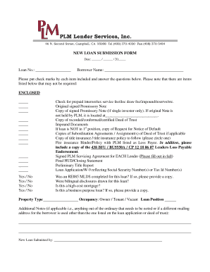 New Loan Submission Form