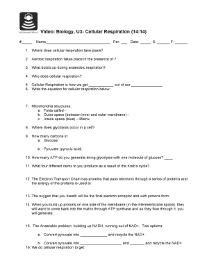 Cellular Respiration Worksheet