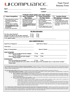 Team Travel Itinerary Form