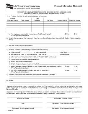 Personal Information Statement for Insurance