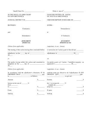 Small Claims Court Judgment Form
