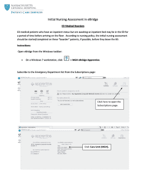 Initial Nursing Assessment Form