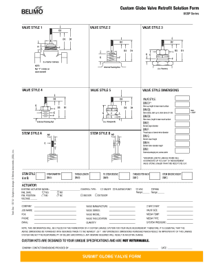 Custom Globe Valve Retrofit Solution Form