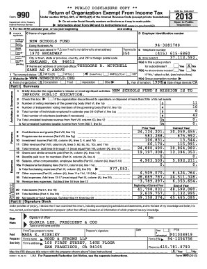 IRS Form 990 2013