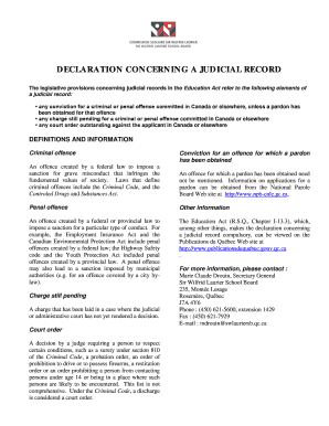 Declaration Concerning a Judicial Record
