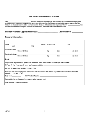 Volunteer Intern Application Form