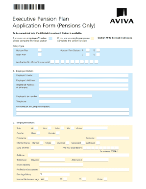 Executive Pension Plan Application Form