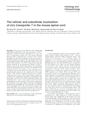 The cellular and subcellular localization of zinc - hh um