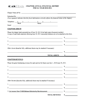 Chapter Annual Financial Report